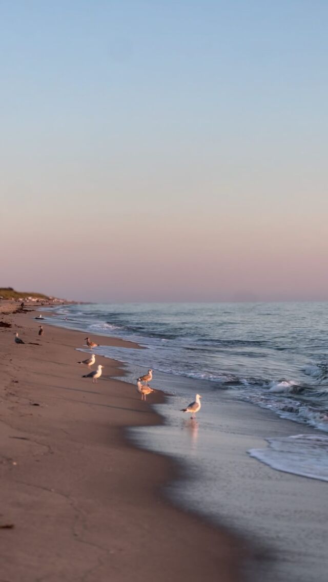 Unsere Lieblingsinsel hoch im Norden… Wo das Meer den Horizont küsst. 🧡🌊

Jetzt noch auf unserer Website vorbeischauen und die letzten Sommer-Marmeladenglasmomente mitnehmen✨

#nordsee #nordseestrand #nordseeliebe⚓️❤️🌊 #sunset #meeresrauschen #sylt #syltdieinsel #urlaub #urlaubaufsylt #urlaubmithund #inselliebe #inselglück #lieblingsinsel #nordfriesland #wenningstedt