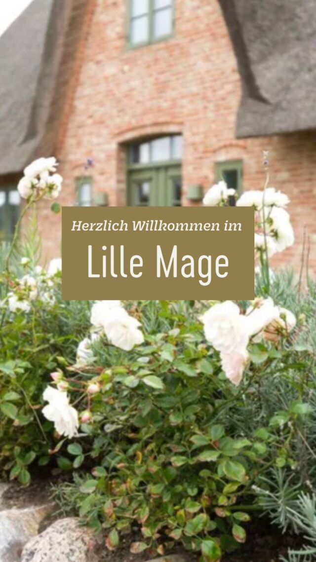 ❤️-lich Willkommen! 

Das Ferienhaus „Lille Mage“ öffnet seine Türen für alle Syltfans, die Lust auf Erholung in Strandnähe haben 🌊🌾👌🏼

✨ 8 Personen 
🧖‍♀️ Sauna
🌳 Terrasse
🔥 Kamin
💕 Traumlage 
🏆 SAS Highend

#wenningstedt #urlaub #ferienwohnung #strandnah #urlaubsdomizil #sylt #syltliebe #urlaubaufsylt #nordseeurlaub #nordsee #nordfriesland #urlaubinnordfriesland #urlaubzuzweit #winterurlaub #sommerurlaub #inselurlaub #inselliebe #nordseeinsel #urlaubindeutschland #urlaubmithund #urlaubammeer #ferienhaus