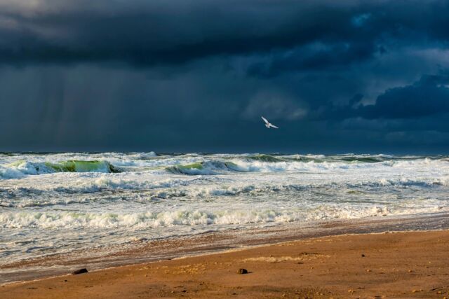 Das Meer ruft, die Seele antwortet 🌊⚓️

Foto: Ralf Meyer

#urlaub #ferien #ferienaufsylt #meerweh #küstenkind #ferienwohnung #strandnah #urlaubsdomizil #sylt #syltliebe #urlaubaufsylt #nordseeurlaub #nordsee #nordfriesland #urlaubinnordfriesland #urlaubzuzweit #winterurlaub #sommerurlaub #inselurlaub #inselliebe #nordseeinsel
#familienurlaub #urlaubmithund